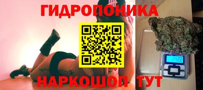 стафф Заводоуковск