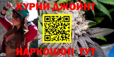 стафф Заводоуковск