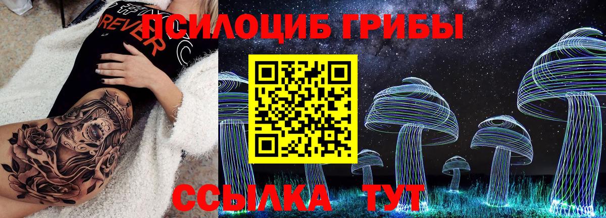 Галлюциногенные грибы ЛСД Зима