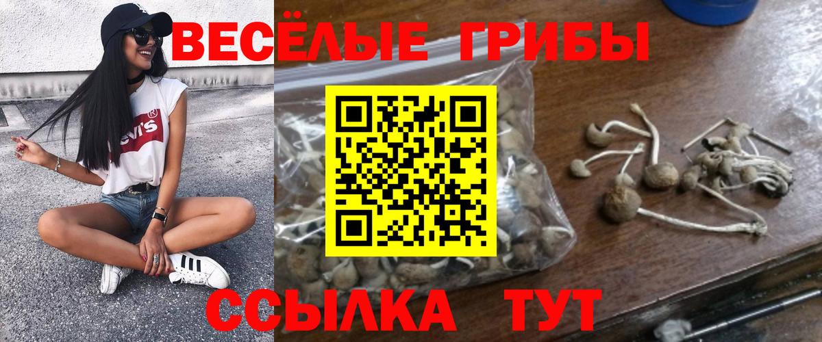 Псилоцибиновые грибы MAGIC MUSHROOMS  Вход с VPN  Зима 